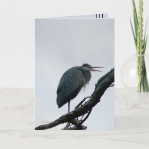 November Great Blue Card