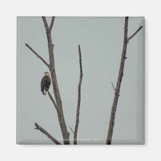 November Magnet (Front)