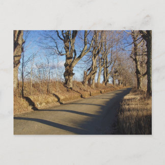 November Road Postcard
