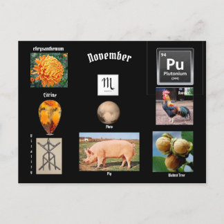 November Scorpio Birth Month Postcard