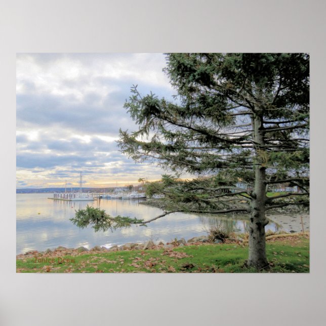 November seascape poster (Front)