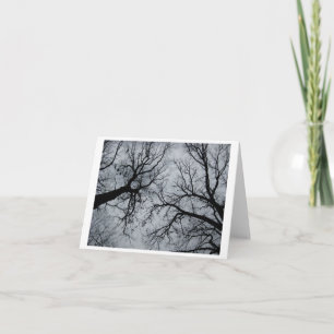 November Sky Through Trees Card