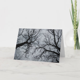 November Sky Through Trees Photograph Card