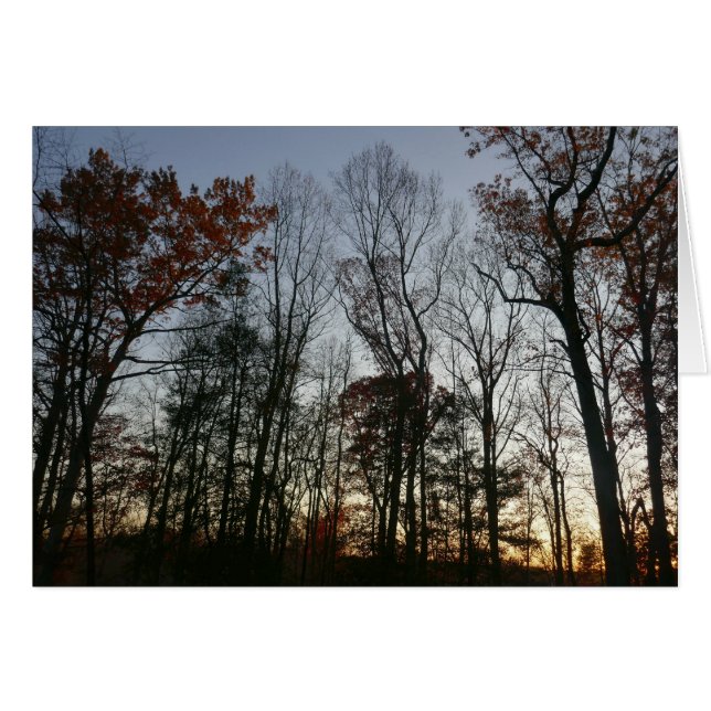 November Sunset (Front Horizontal)