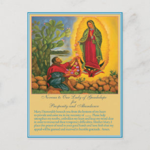 Novena for Prosperity and Abundance Postcard