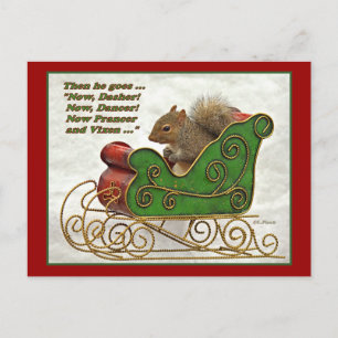 Now Dasher, Now Dancer… Postcard