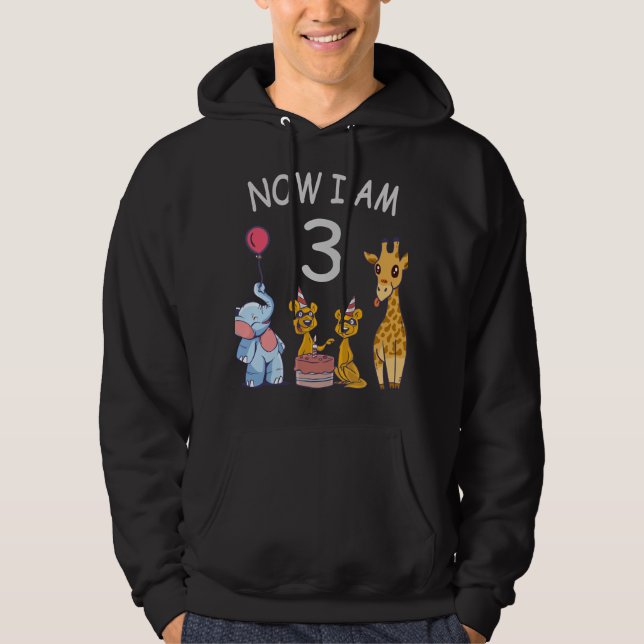 Now I am 3 year old 3rd Birthday at the Zoo Hoodie (Front)