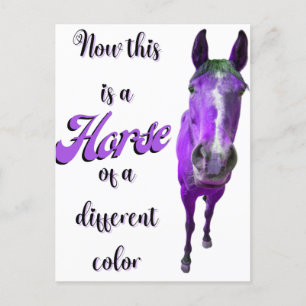 Now This Is A Horse Of A Different Colour Purple Postcard