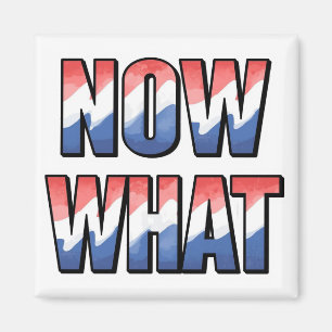Now what in red white and blue magnet