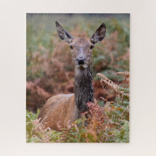 Now You Have My Attention - 16x20 - 520 pieces Jigsaw Puzzle