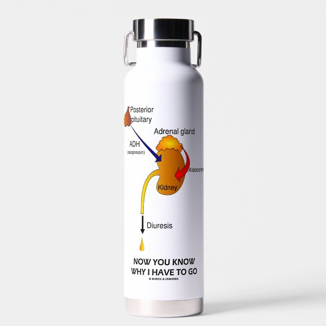 Now You Know Why I Have To Go Diuresis Water Bottle (Front)