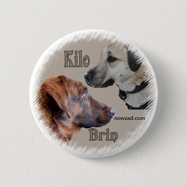 Nowzad Rescue Dogs Brin & Kilo Badge (Front)