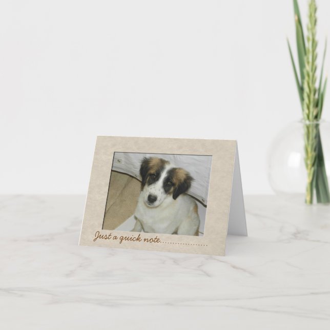 Nowzad Rescue Spike Notecard (Front)