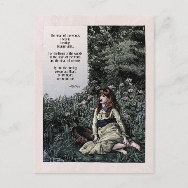 Noyes "Heart of the Woods" Victorian Postcard (Front)