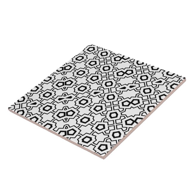 NTPD5550P215849 Ceramic Tile (Side)