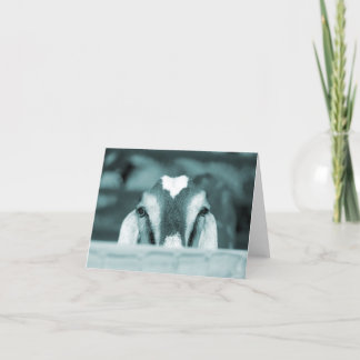 Nubian doe bw blue peeking over wooden rail card