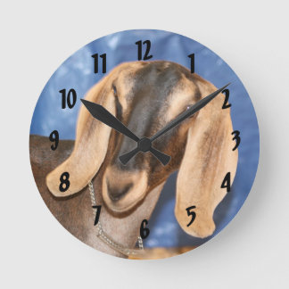 Nubian doe head against blue round clock
