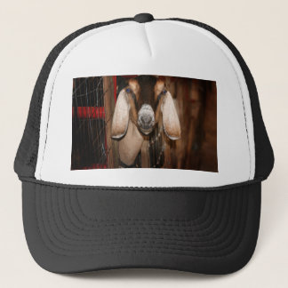 Nubian doe head on getting out of gate trucker hat
