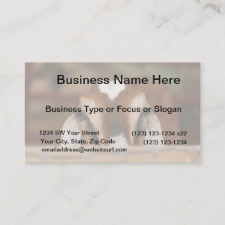 Nubian doe peeking over wooden rail business card
