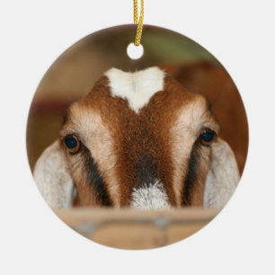 Nubian doe peeking over wooden rail ceramic tree decoration