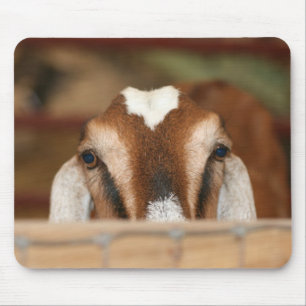 Nubian doe peeking over wooden rail mouse pad