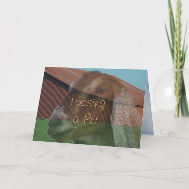 Nubian Doe Vision Sympathy Card or any occasion (Front)