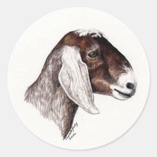 Nubian Goat Art Sticker