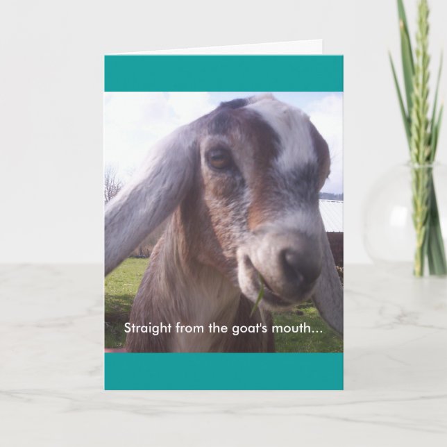 Nubian Goat Card (Front)