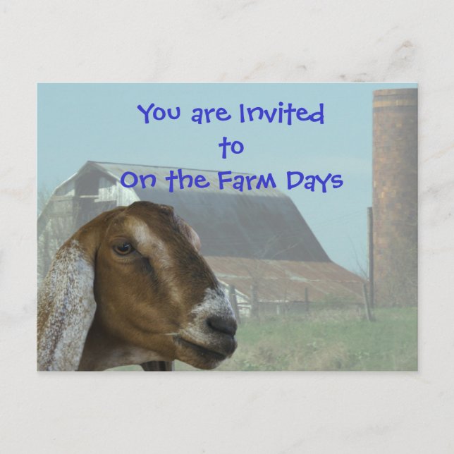 Nubian Goat Farm Day Invitation- customise Invitation Postcard (Front)