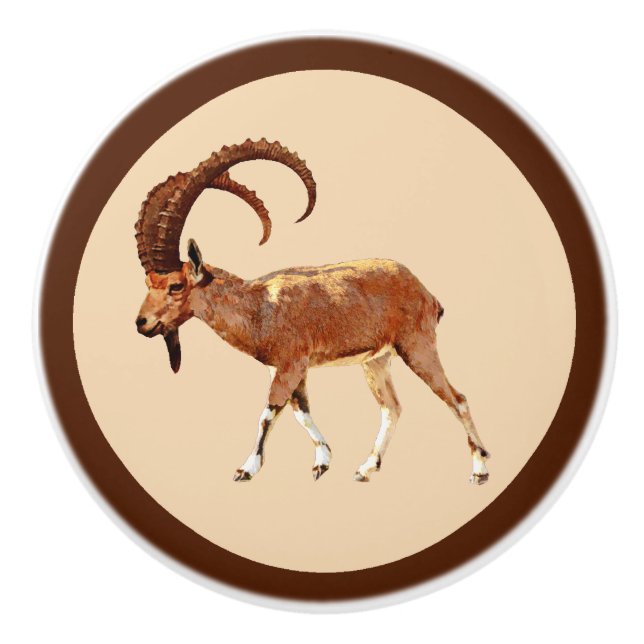 Nubian Ibex - Ein Gedi Ceramic Knob (Front)