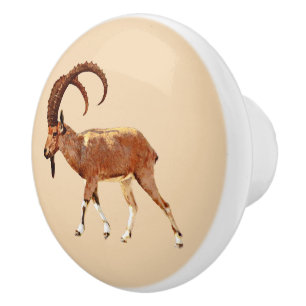 Nubian Ibex - Ein Gedi Ceramic Knob