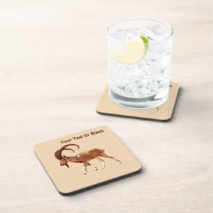 Nubian Ibex - Ein Gedi Coaster