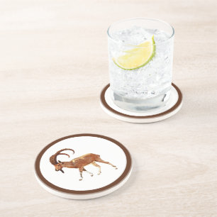 Nubian Ibex - Ein Gedi Coaster
