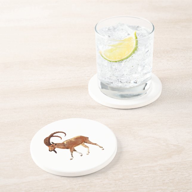 Nubian Ibex - Ein Gedi Coaster (Side)