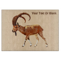 Nubian Ibex - Ein Gedi