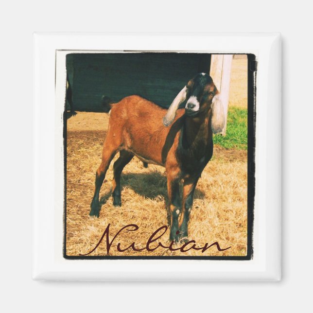 Nubian Magnet - Square (Front)