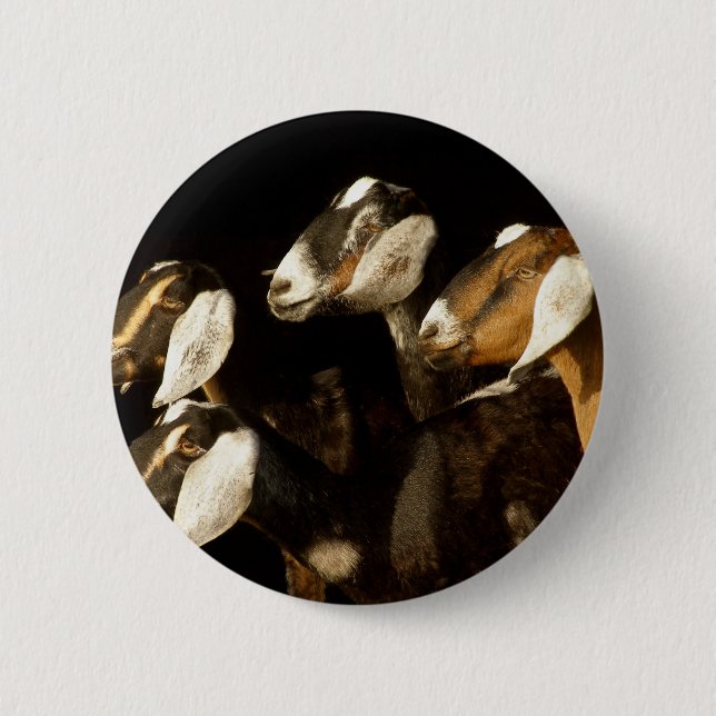 Nubians Does Focused 6 Cm Round Badge (Front)
