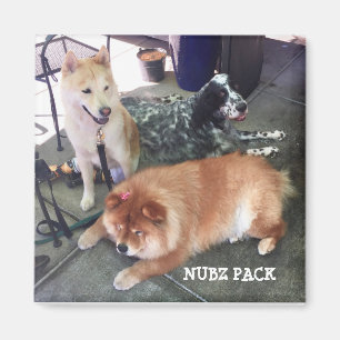NUBZ NATION Magnet. Square Magnet