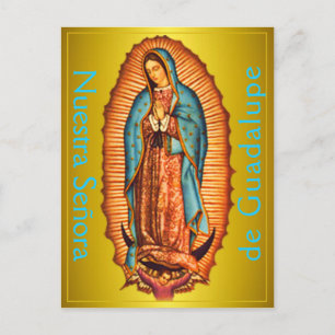 Nuestra Señora de Guadalupe Postcard