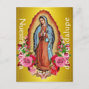 Nuestra Señora de Guadalupe Postcard