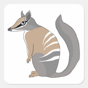 Numbat Square Sticker