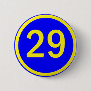 number 29 in a circle 6 cm round badge