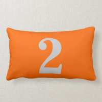 Number 2 lumbar pillow