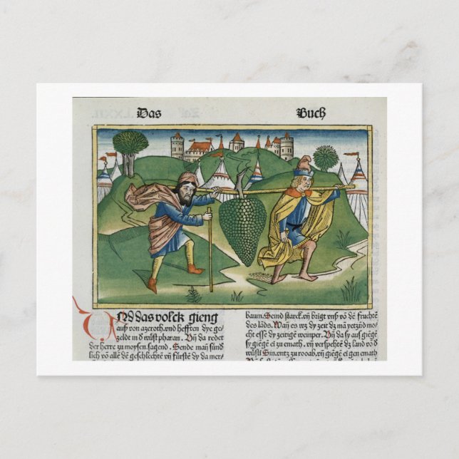 Numbers 13 23 The Grapes of Eschol, from the 'Nure Postcard (Front)