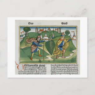 Numbers 13 23 The Grapes of Eschol, from the 'Nure Postcard