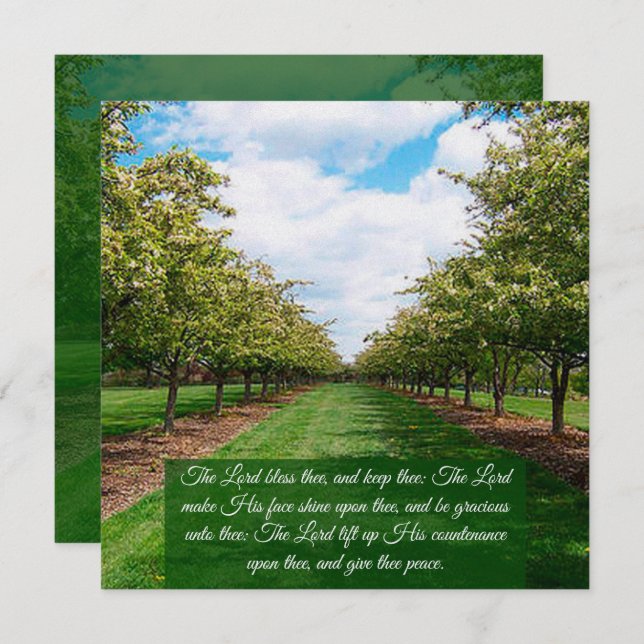 Numbers 6:24-26 Flat Card (Front/Back)