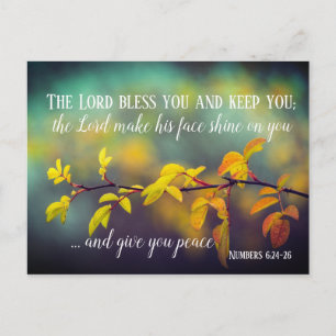 Numbers 6:24-26 The Lord Bless You and Keep You Postcard