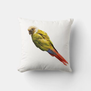 Numchoke is not a bird cushion