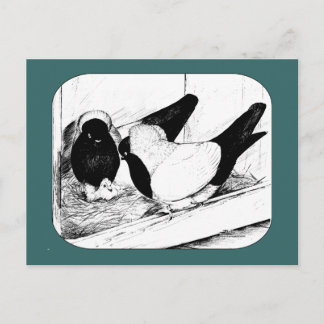 Nuns 1980 postcard