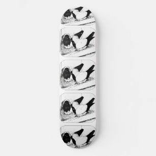 Nuns 1980 skateboard